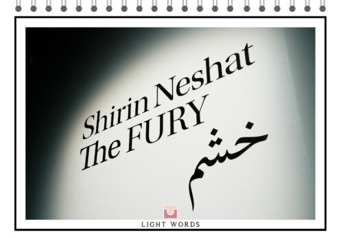 The FURY - Shirin Neshat